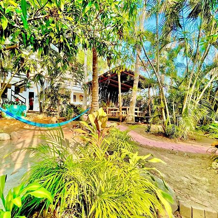 El Eden Escondido Hotel Puerto Escondido  Bagian luar foto